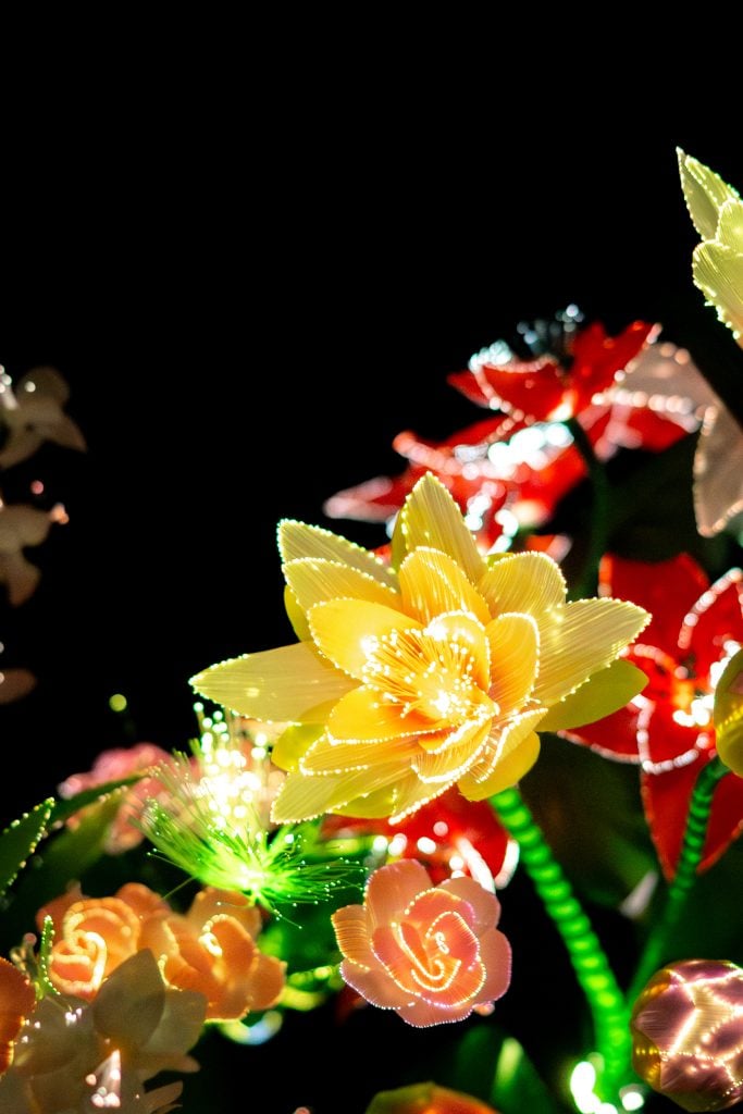 DSC00112