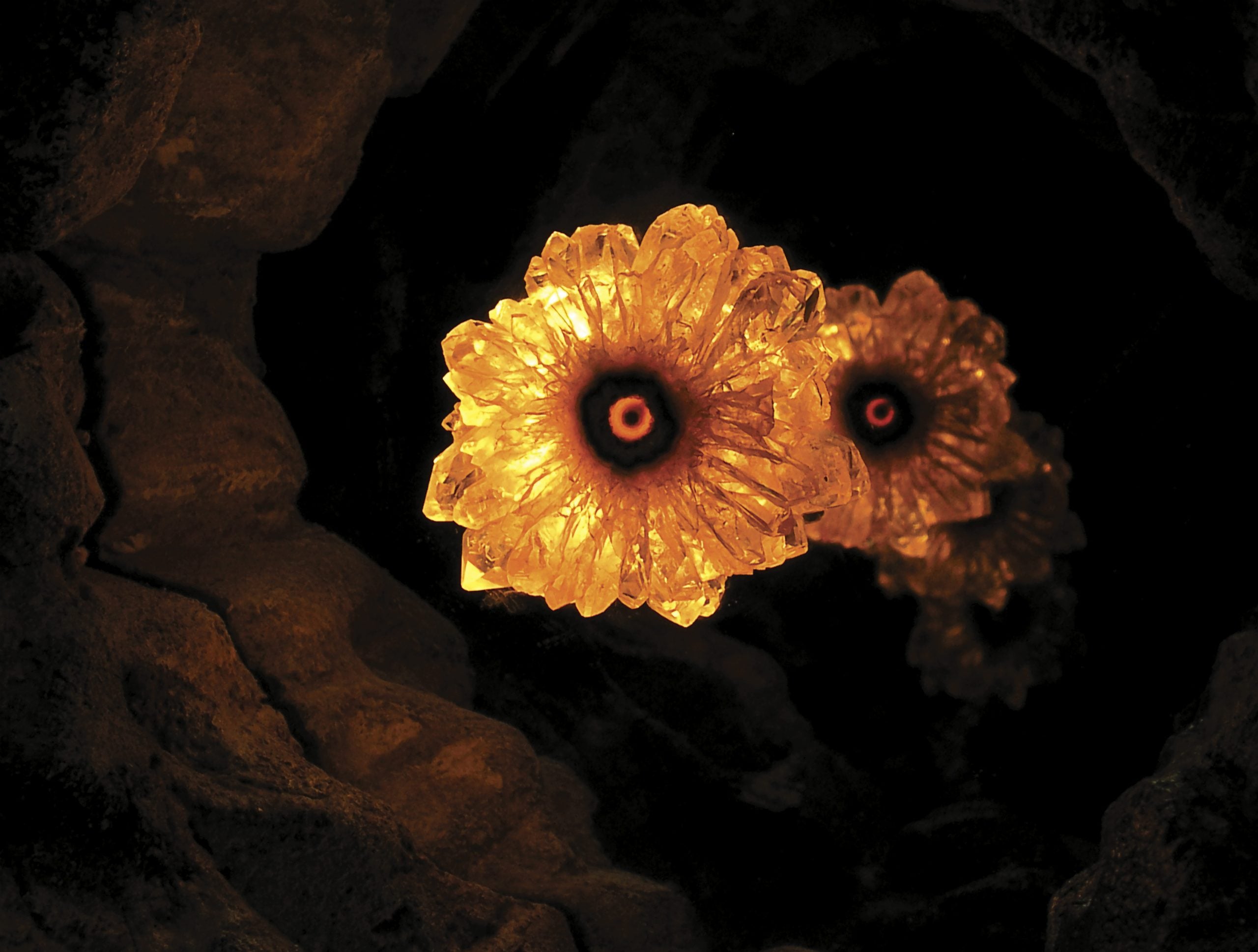 DM08001_tradada_2024_versao lisa