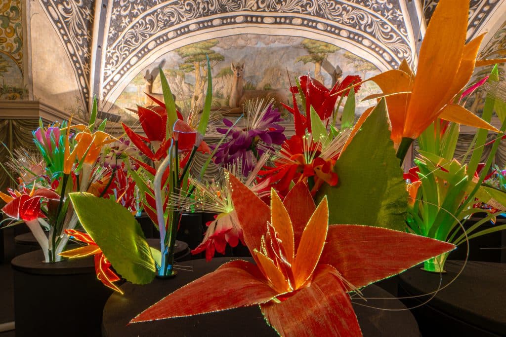 Jardim do Éden, 2007-2024