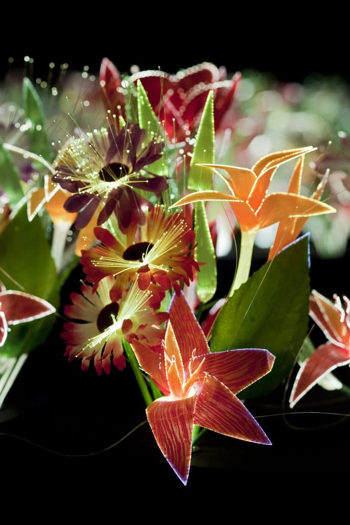 Magic Kingdom, Kunsthallen Brandts, Odense, 2011