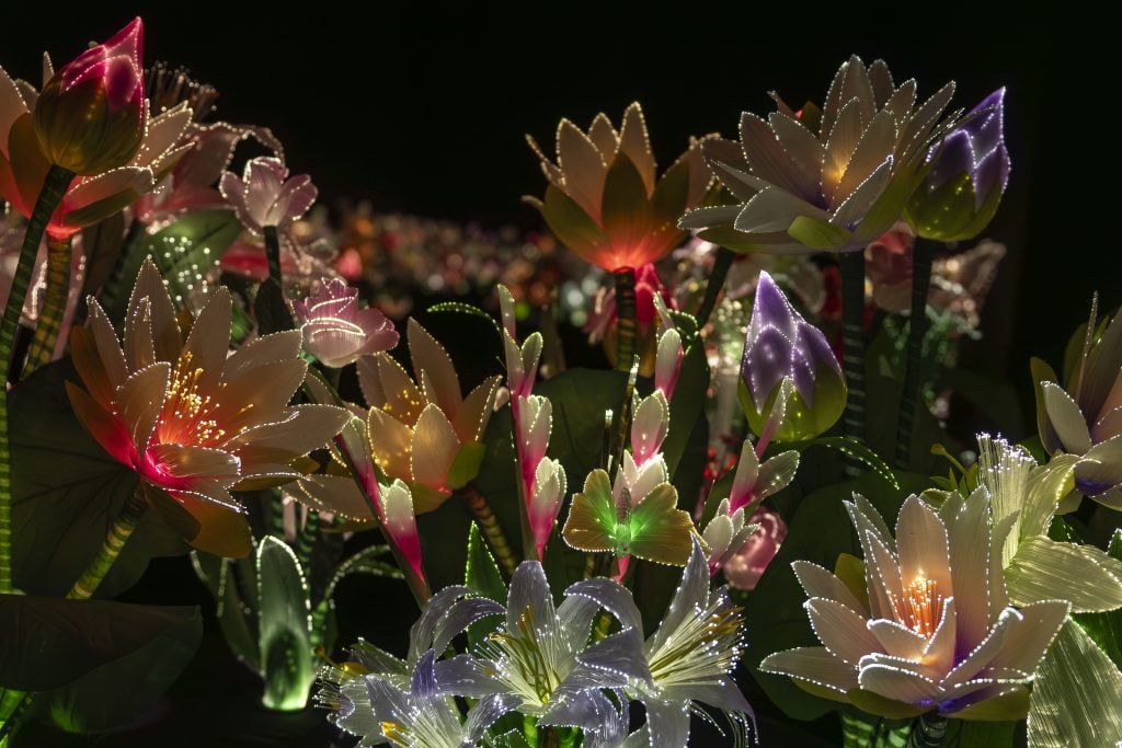 JardimDoEden_FarolSantader_RodrigoReis-17