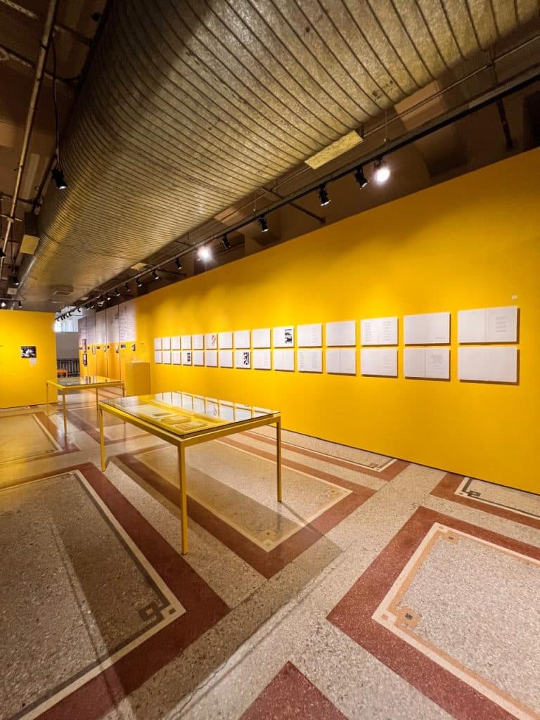 PHOTO-2024-03-19-17-59-38(1)