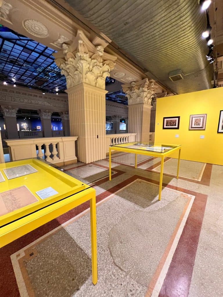 PHOTO-2024-03-19-17-59-38(3)