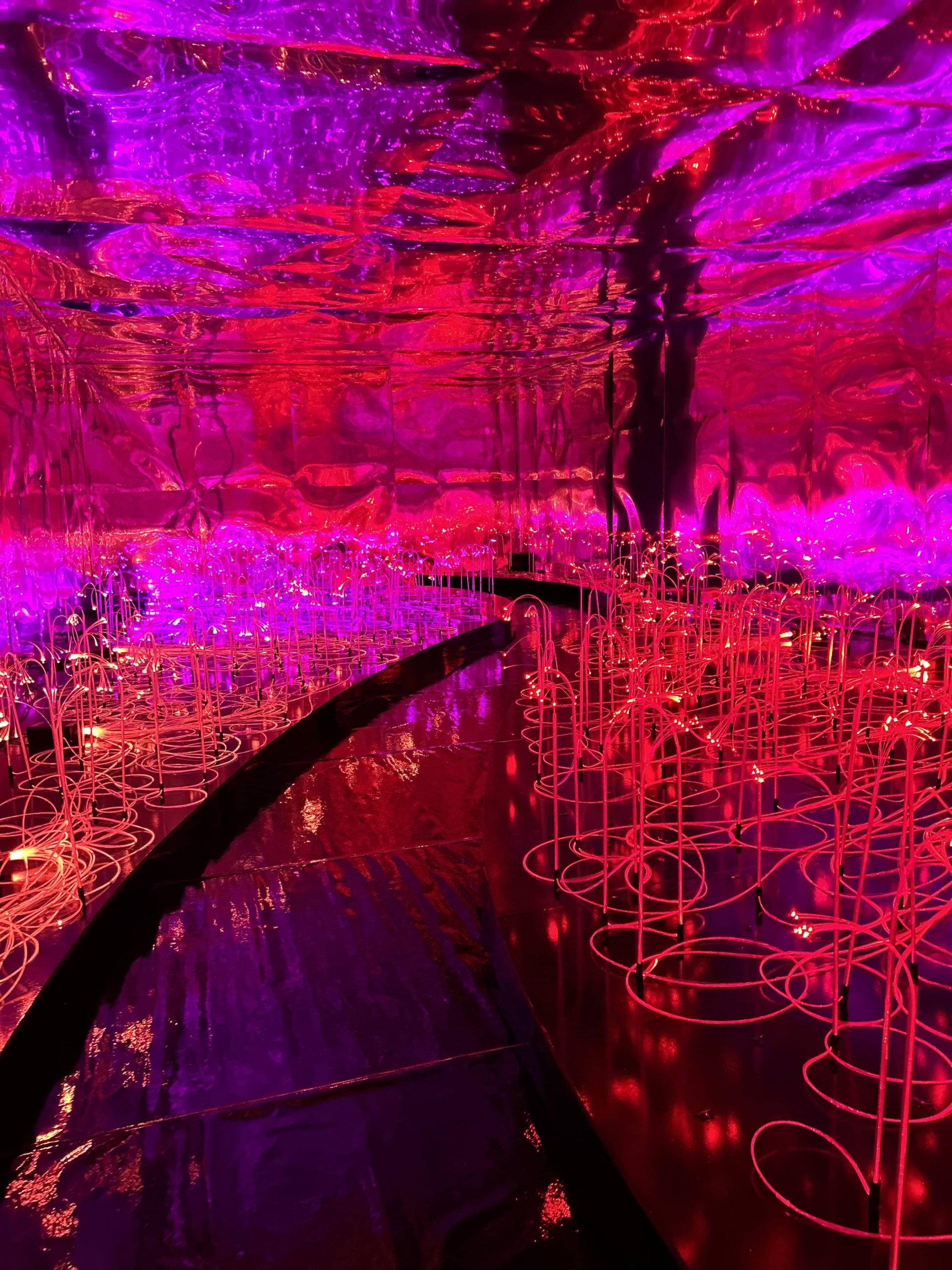 Reflexos [In] Versos no País das Maravilhas - Farol Santander